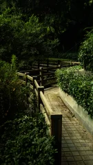 A Path through the Green