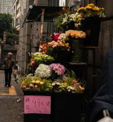 Flowers on the Street