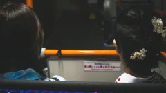 Flowers in the Carriage