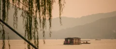 Boat beneath the Willows