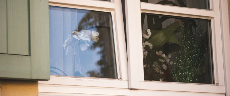 Flowers behind Glass